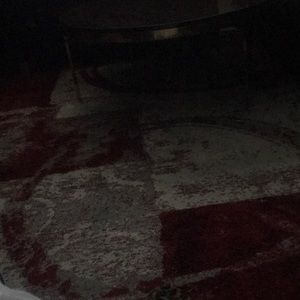 Meet your Posher, Babette